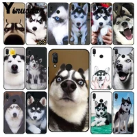 yinuoda animal husky cute puppy dog phone case for xiaomi redmi8 4x 6a s2 go redmi 5 5plus note8 note5 7 note8pro