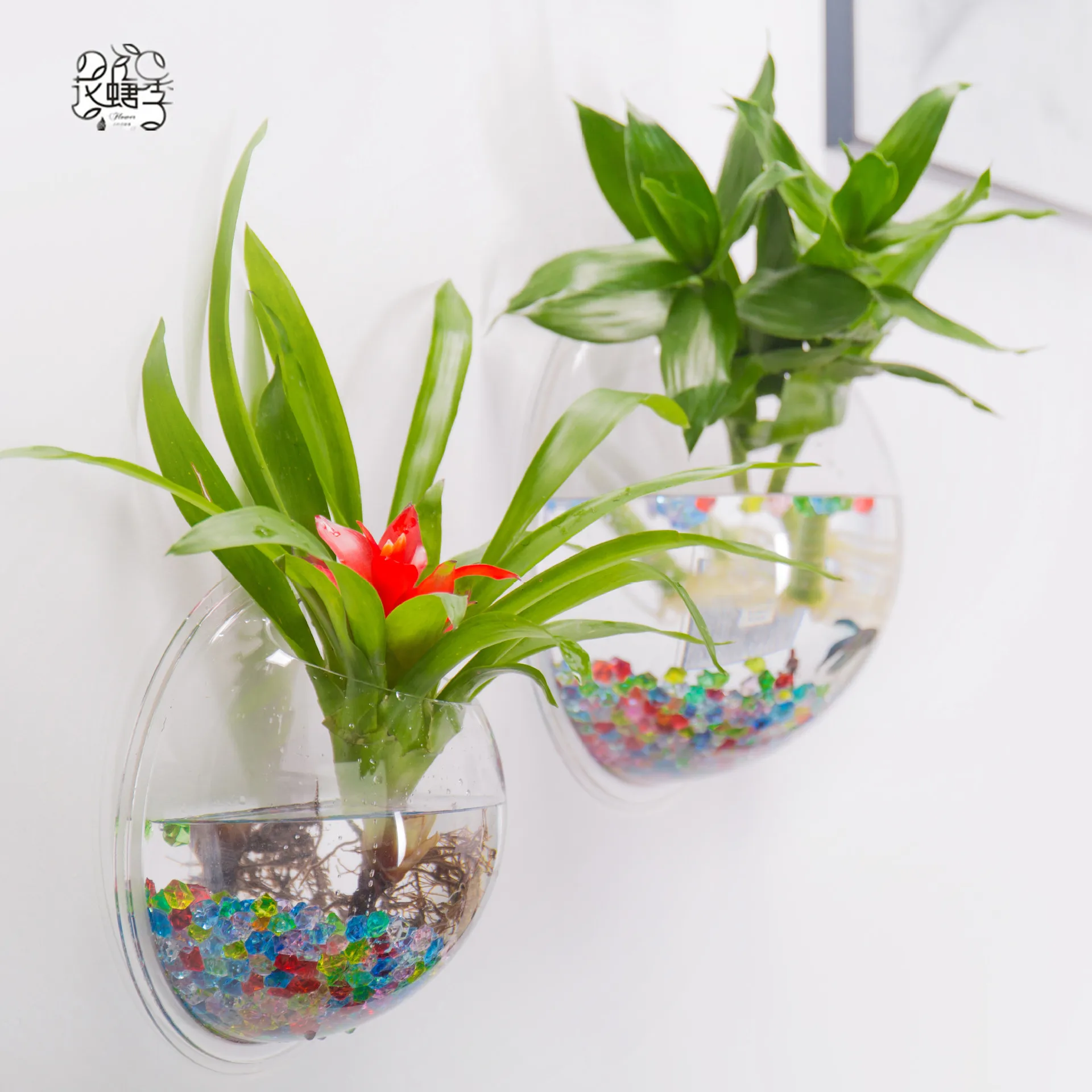 

Pot Plant Wall Mounted Hanging Aquarium Transparent 3D Acrylic Fish Bowl Fish Tank Flower Plant Vase Home Decoration
