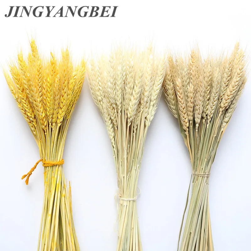 В переменного тока 50 100 шт. натуральные пшеницы цветок уха сухие цветы для