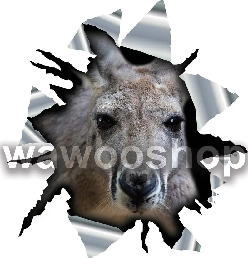 

2021 Kangaroo car sticker, 3d decal, funny sticker
