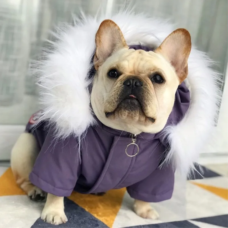 Purple Костюмы для собак с французским бульдогом, зимняя одежда 90%, пуховик с белым пером, пальто для щенков, маленькая и средняя одежда для домашних животных, котов - Цвет: Purple
