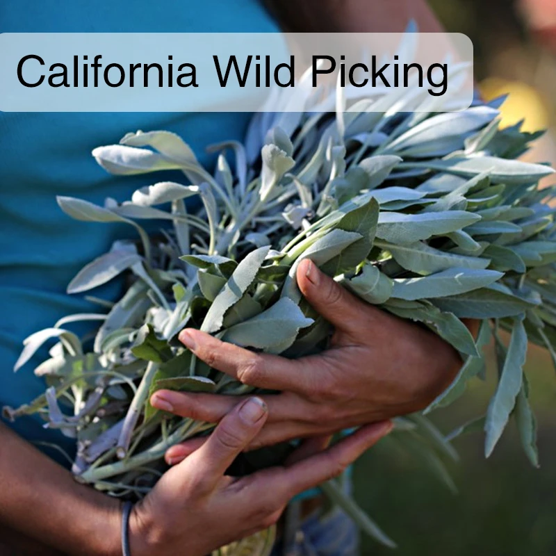 Калифорнийский белый шалфей чистый лист дымчатый аксессуары для курения