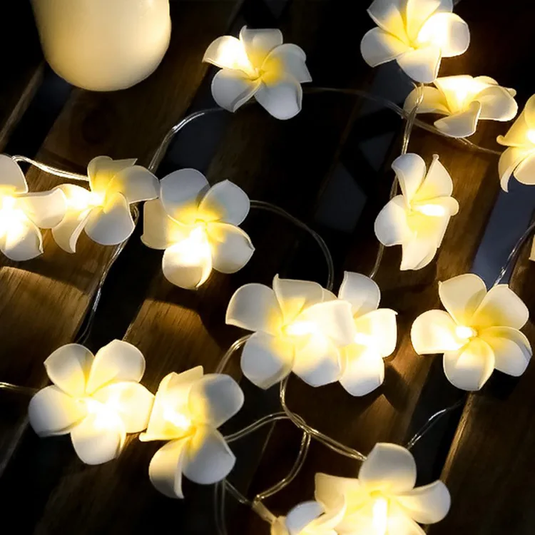 

Led String Light Egg Light String Ins Room Decorative Light Battery Box Wedding Outdoor Festival Light Hone Wall Decor