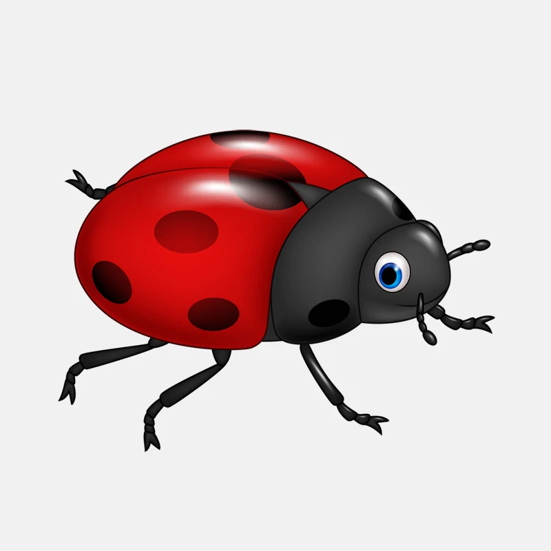 Volkrays Lovely Car Sticker Red Wings Insect Ladybug Accessories Waterproof PVC Decal for Renault Logan Mercedes W203 10cm*14cm |