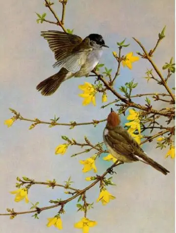 Алмазная вышивка крестиком на рисунке Diy 5d алмазная с цветочным рисунком в виде