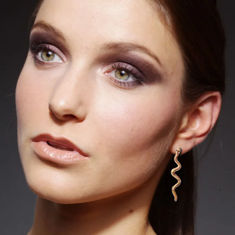 В стиле панк со змеиным рисунком длинные серьги для женщин ювелирные изделия