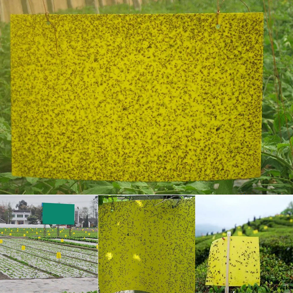 

Strong Flies Traps Bugs Sticky Board Catching Aphid Insects Pest Killer Garden Tools 15/20Pcs