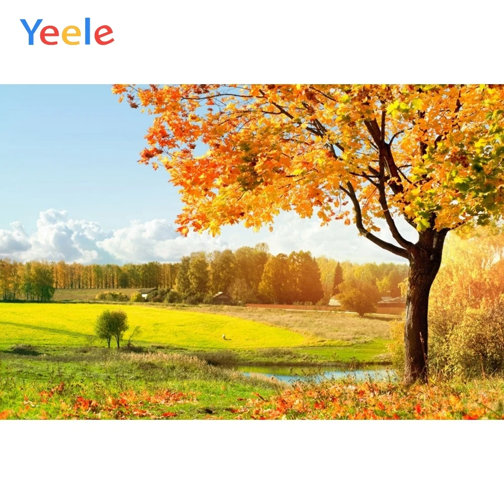 

Виниловый фон для фотосъемки Yeele с изображением осеннего леса дерева травы неба природных пейзажей