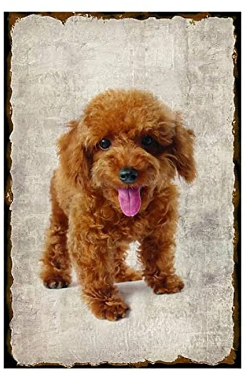 

Dog & Cat is Best Friends Metal Tin Sign Bar Pub Cafe Home Decor Pug Iron Poster Wall Painting Gift Wall Panel Retro Vintage