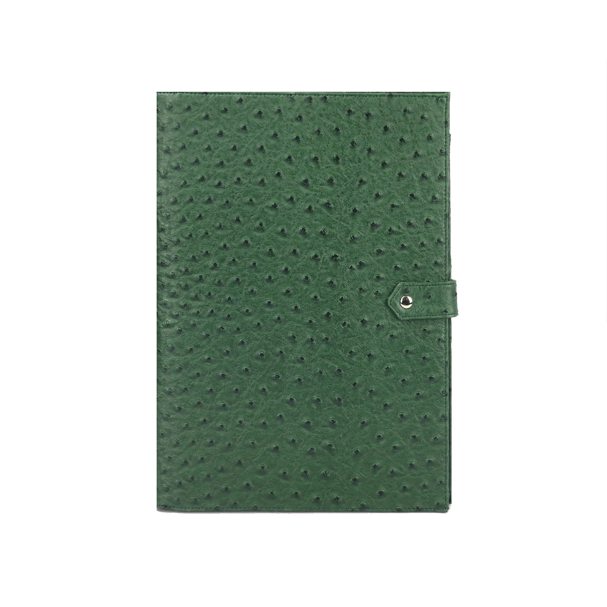 Ostrich Green Лидер продаж, мужская сумка, мужская, модная, с узором «крокодиловая кожа», Padfolio, высокое качество, бизнес, А4, держатель для файлов, Роскошный чехол для Ipad, держатель - Цвет: Ostrich Green