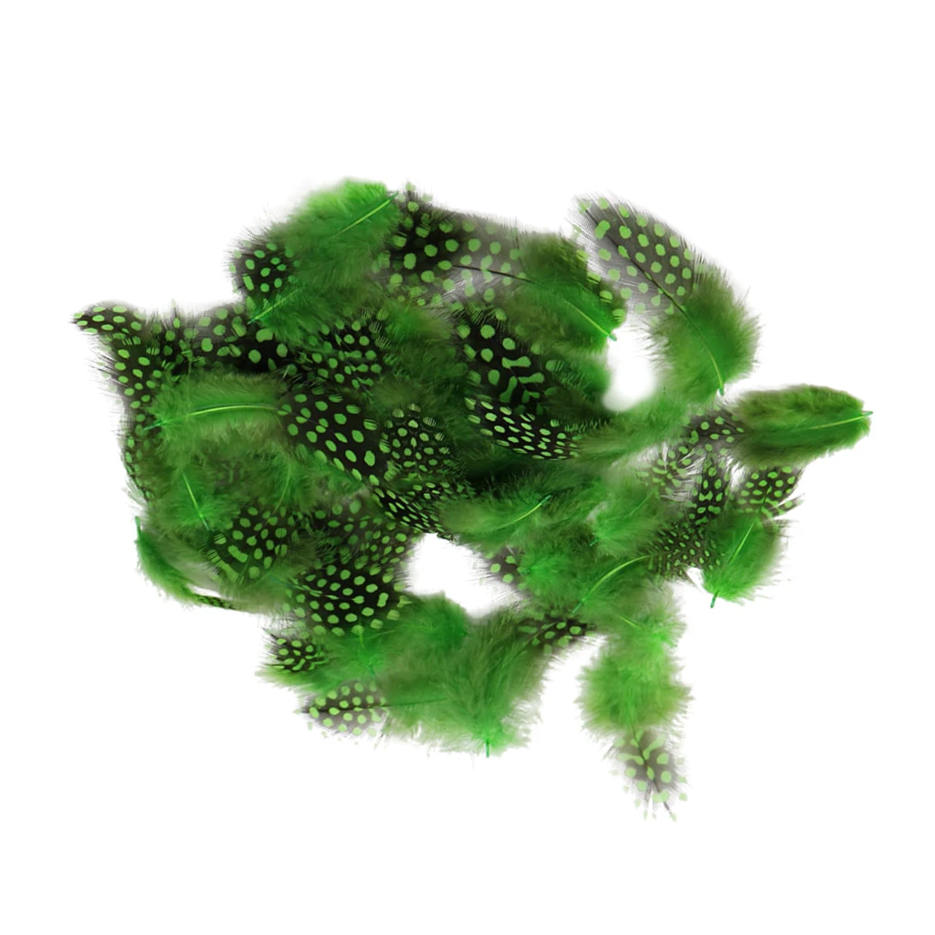 50PCS Beautiful Lots Dyed Guinea Hen Feather Chicken Feathers Craft Decoration Colourful Pheasant Rooster |