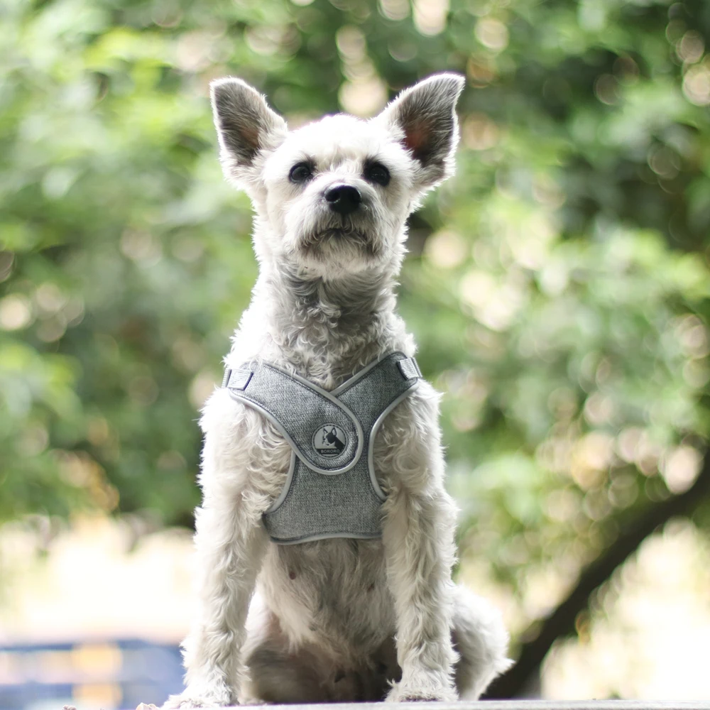 

Sport Dog Harness No Pull Reflective Pet Harness for Small Medium Dogs Breathable Protective Training Walking Vest Pet Supplies