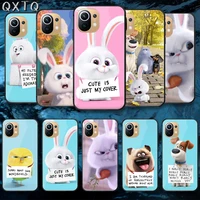 cartoon secret life of pet tempered glass phone case cover for xiaomi mi poco f2 f3 x3 nfc a3 8 9 10 11 t pro lite ultra