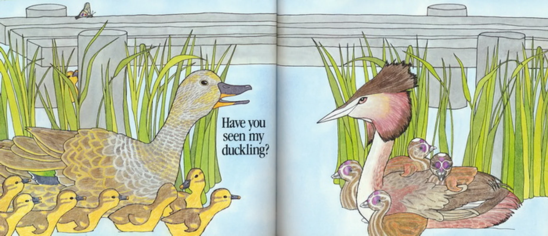 Вы видели мой Утенок английскую картинную книгу для детей английский язык класс