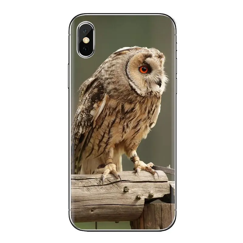 Для samsung Galaxy S2 S3 S4 S5 MINI S6 S7 edge S8 S9 Plus Note 2 3 4 5 8 Coque Fundas длинноухий Сова Asio otus Европа