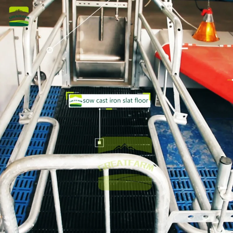 Китайская Современная свинья ферма с полностью автоматизированной системой