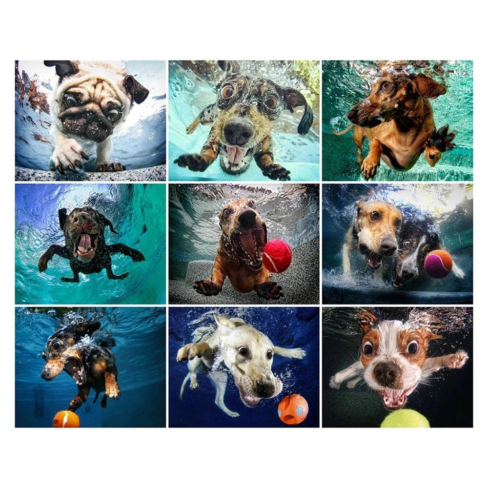 

Алмазная живопись «собака в воде» Sontonga, картина с квадратными/круглыми стразами, украшение для дома