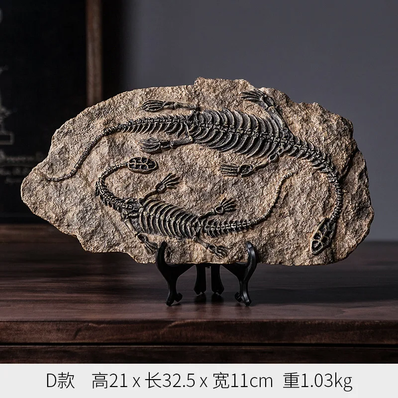 

21cm American Dinosaur Fossil Study Home Living Room Porch Decoration Crafts Window Props Furnishings