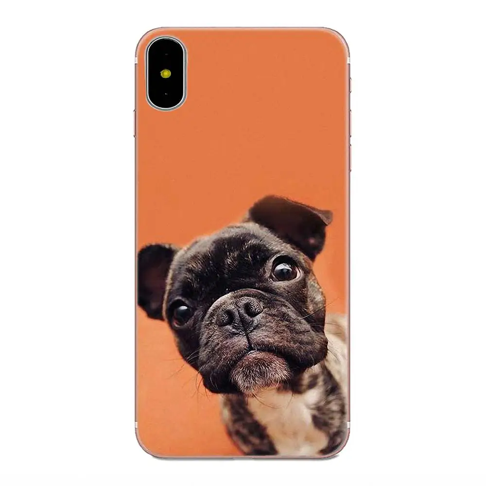 Французский бульдог мопс милый пластик для Galaxy J1 J2 J3 J330 J4 J5 J6 J7 J730 J8 2015 2016 2017 2018 mini Pro