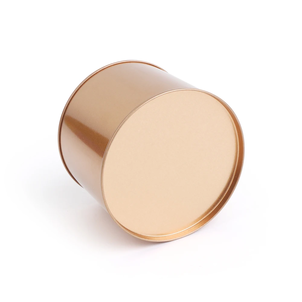 Железный розовое золото нордический резервуар для хранения посадочный горшок