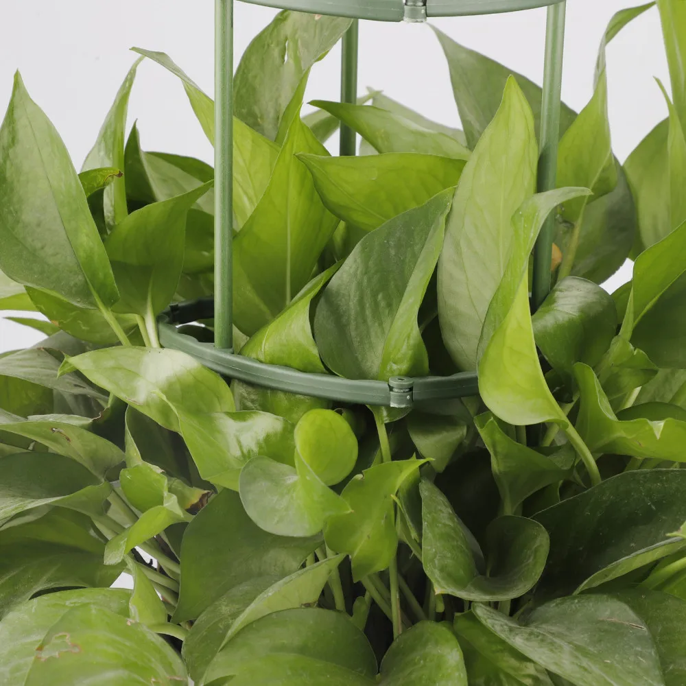 Рама для растений легкая в установке многоразовая двухслойная Съемная