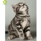 Полностью квадратнаякруглая дрель 5D DIY Алмазная картина кошка собака 3D вышивка крестиком 5D домашний Декор подарок