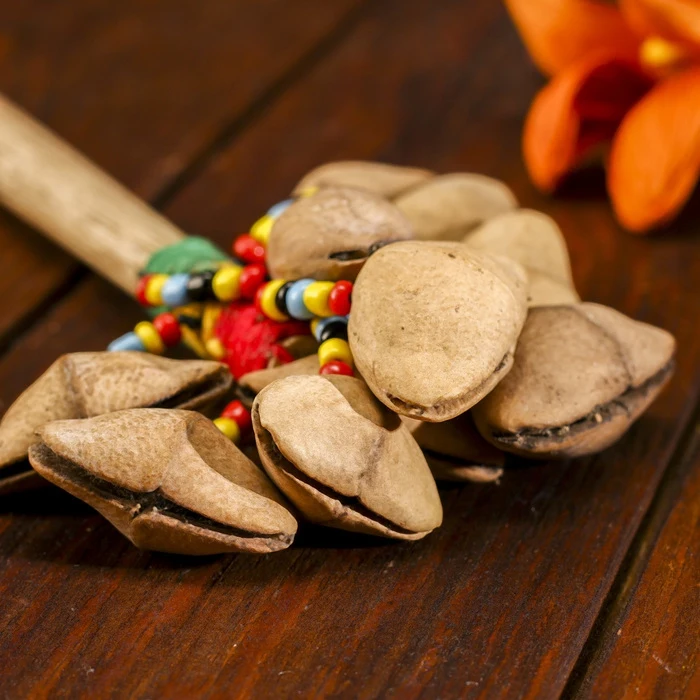 Музыкальный инструмент Маракас размером 13х4х4 см, Инструменты Орффа, Спорт и Развлечения.