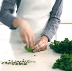 Кухня гаджет капуста Мангольд зелень травы для Looseleaf розмарин тимьян отрывными