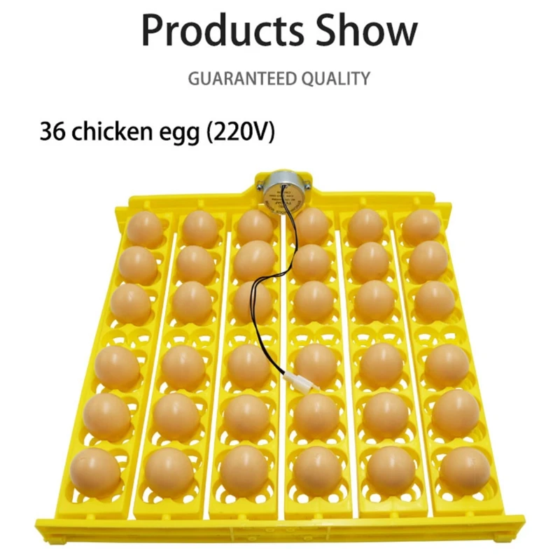 

Automatic Egg Turner Tray 110V 220V 36 Eggs for Hatching Turkey Ducks Goose Birds Pigeon Quail Chicken Eggs Easy Clean