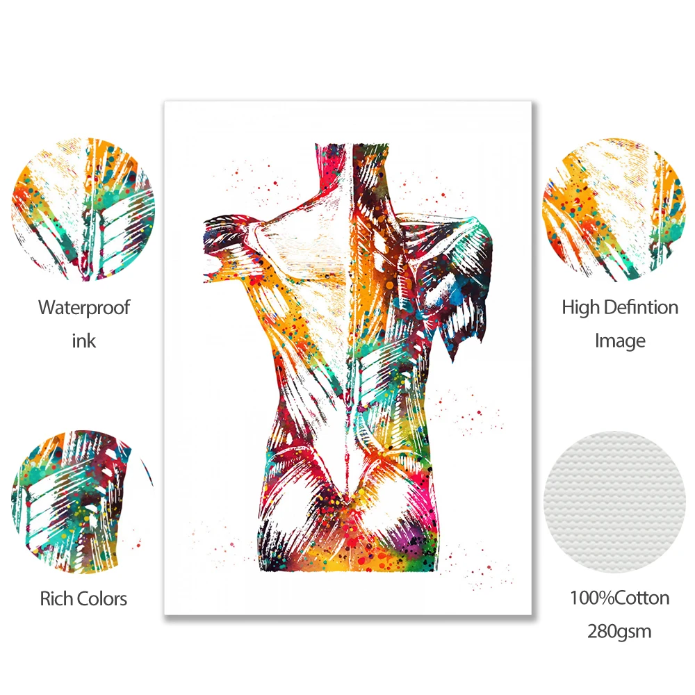 Плакаты с изображением сердец зубов скелета ячеек цветное художественное