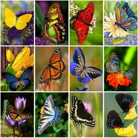 diy butterfly 5d diamond painting full square drill animal diamond embroidery mosaic resin cross stitch wall art home decor