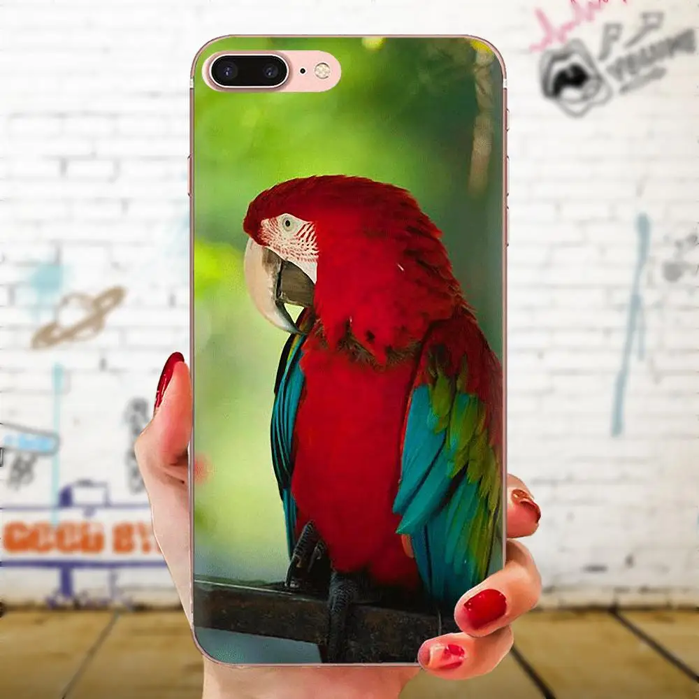 Говорящая птица милые аксессуары для телефона чехол Xiaomi Redmi Note 8 8A 8T 10 K30