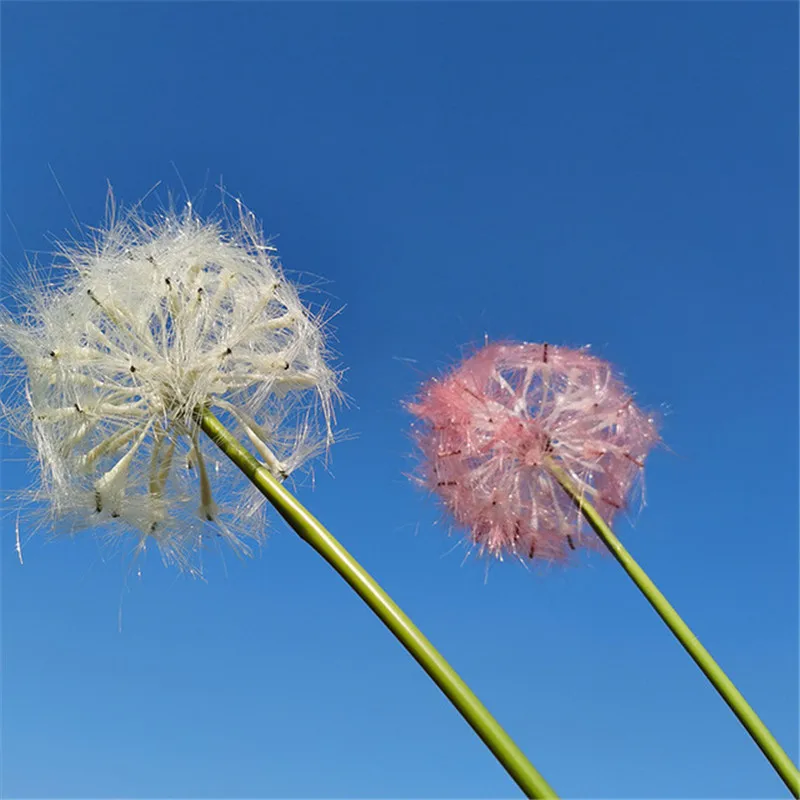 одуванчик в горшке. одуванчик в горшке. домашний одуванчик. цветы похожие на большие одуванчики. одуванчик дома в горшке.