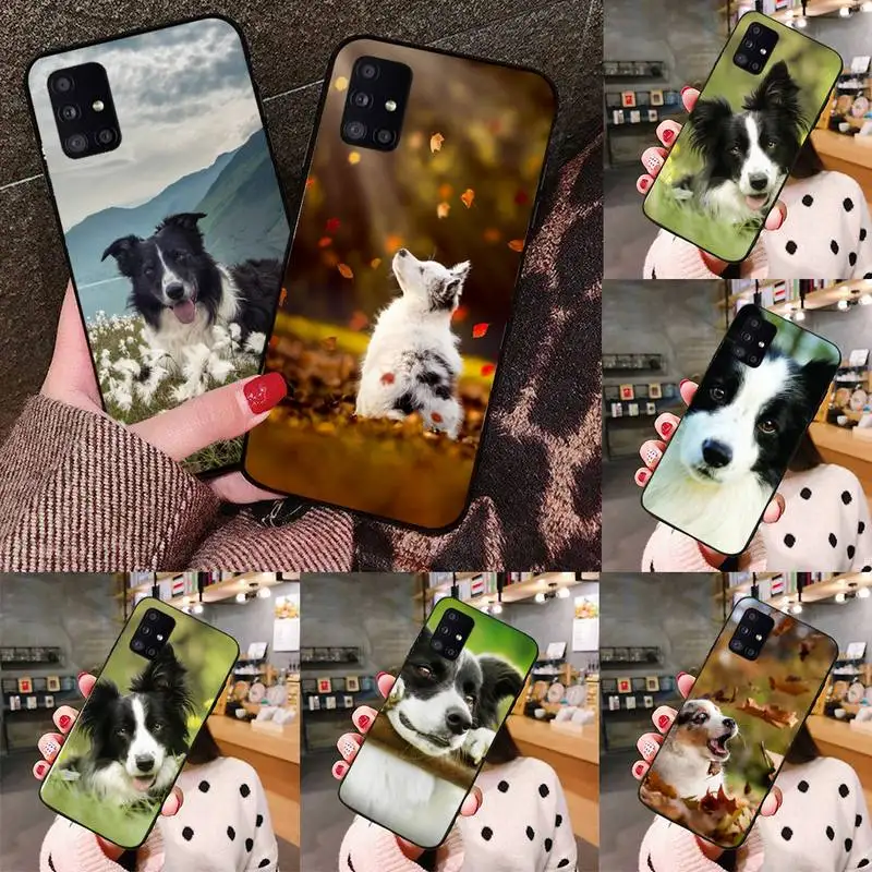 

Border Collie Dog Breed Phone Case black For Samsung galaxy S 21 20 10 8 A 51 71 50 21s 70 40 20 20e note 10 plus Ultra 5g fe