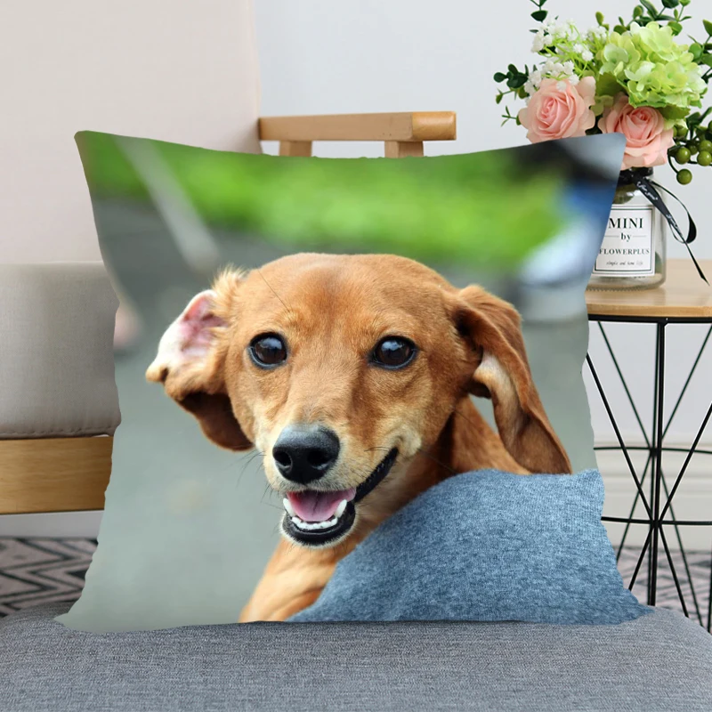 Таксы животных из мультфильмов Лидер продаж Подушка Чехол Высокое качество