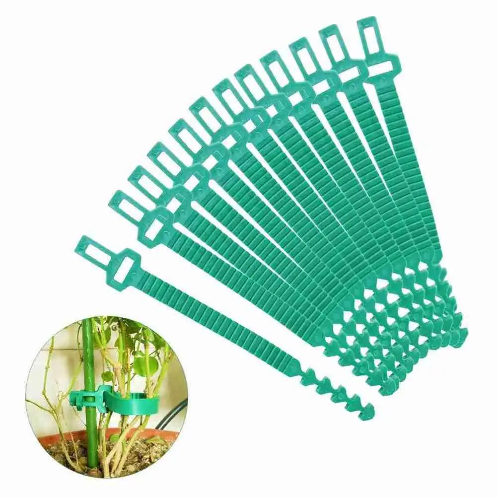 

Reusable Garden Cable Ties Plant Support Shrubs Fastener Tree Locking Nylon Adjustable Plastic Cable Ties Tools