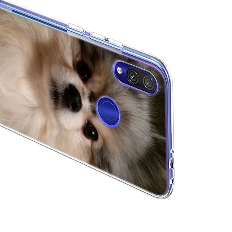 

Pomeranian dogs dog cute For Xiaomi Redmi 10X 9I 9C 9A 9 GO K30 Ultra K20 8A 8 7A 7 S2 6 Pro 5G Bright Soft Phone Case