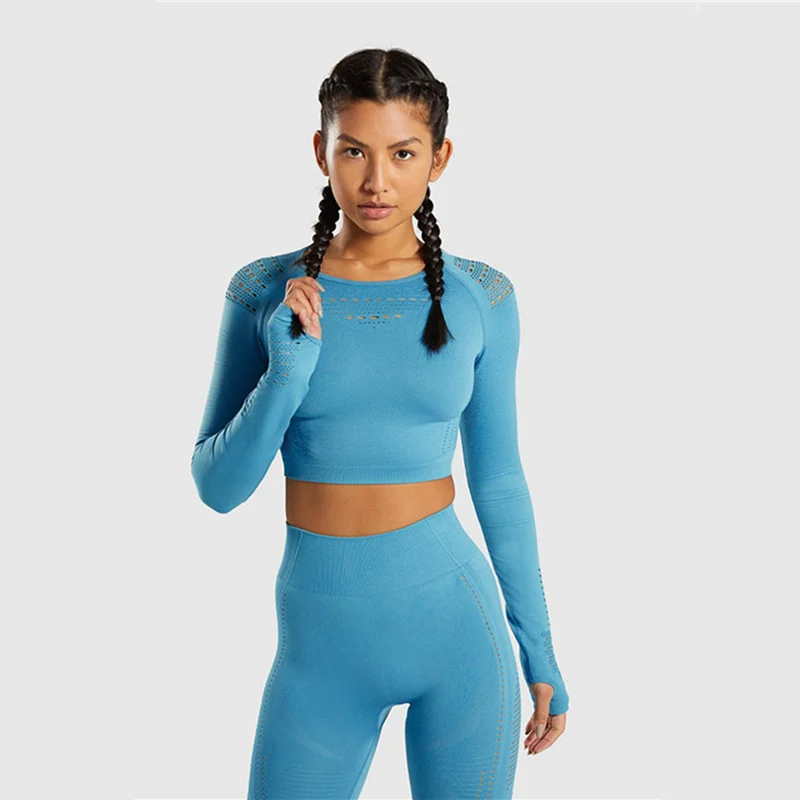 Light Blue Suit Безупречный бесшовный спортивный костюм для женщин, трикотажный комплект для тренажерного зала и тренировок, укороченный Топ с длинным рукавом для фитнеса и Компрессионные Леггинсы, комплект из 2 предметов для йоги - Цвет: Light Blue Suit