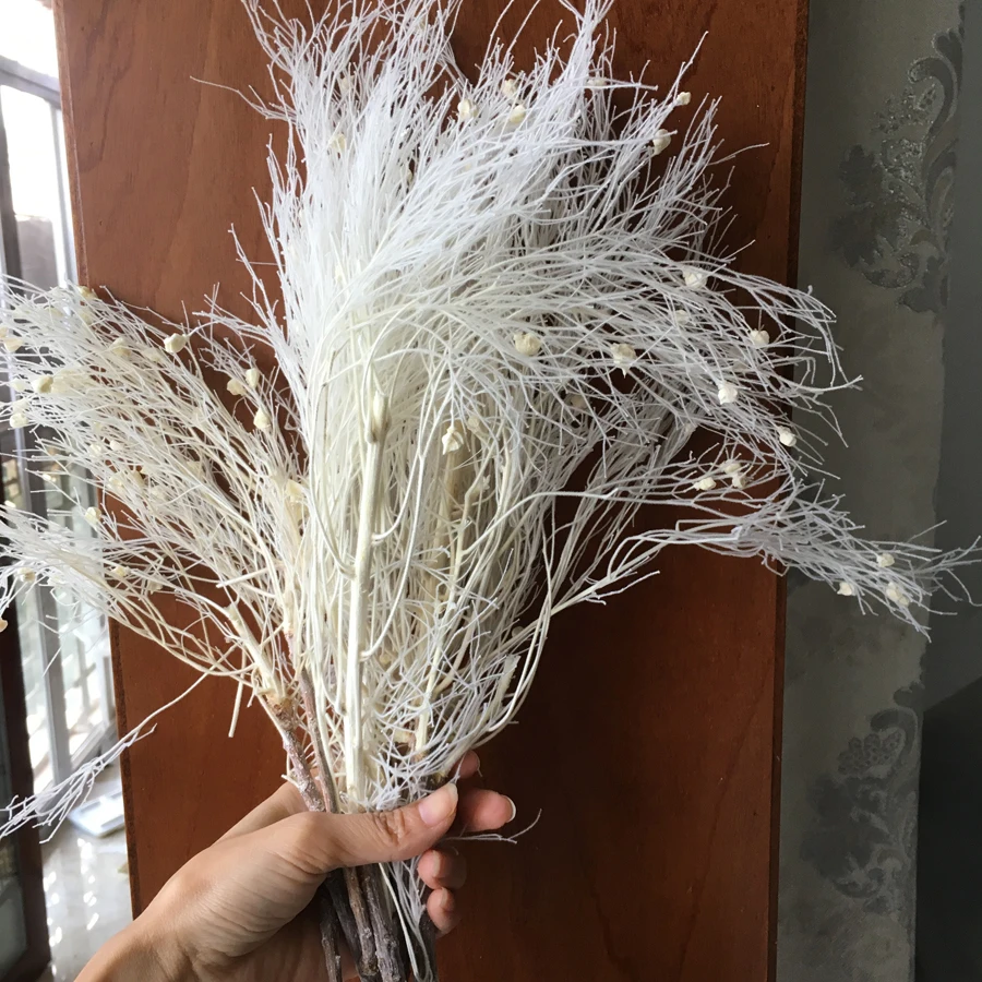 

Сохраненная природная трава мечты 40 г/пучок 20-30 см, сделай сам Eternell цветочный, свадебный венок, свадебный венок, домашний декор сушеных цвето...