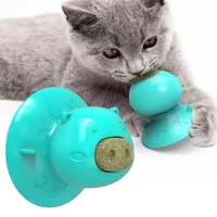 kitty self healing toy mint pets tease cats keep cats molar teeth to relieve boredom chewing gum toothbrush cat and dog supplie