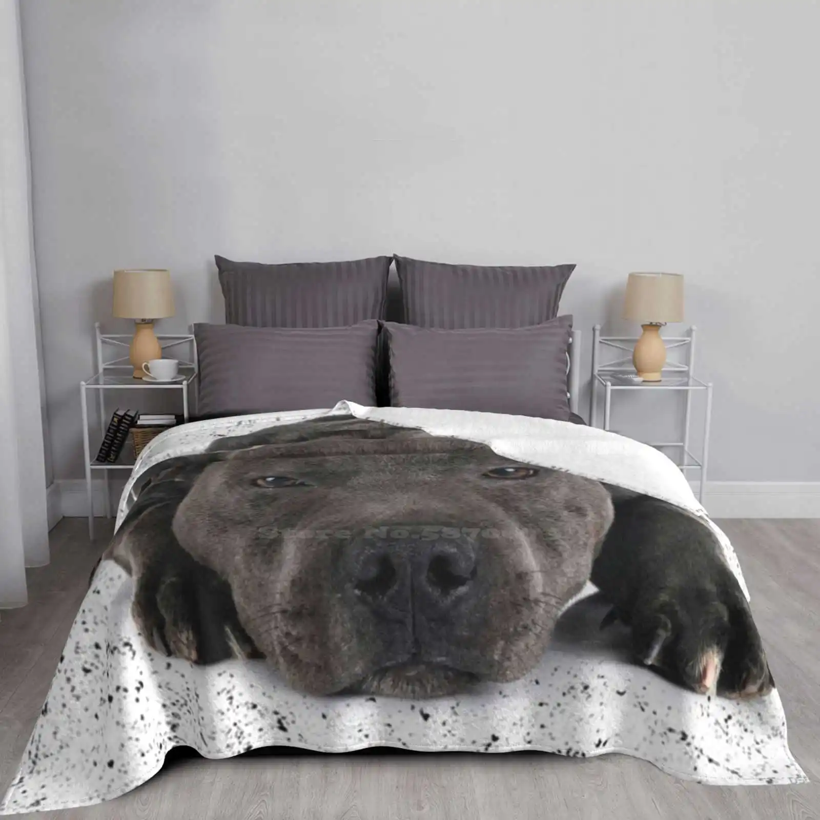 Новинка модное мягкое одеяло Love Is 4 Paw Waggy Tail голубой Стаф Шир-бультерьер новый