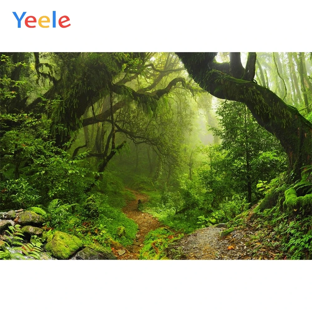 Yeele лесной фон зеленый экран дерево природа путешествия для новорожденных