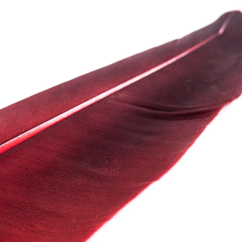 1 комплект перьевая авторучка перьевые косая + 5 шт. резная металлическая ручка