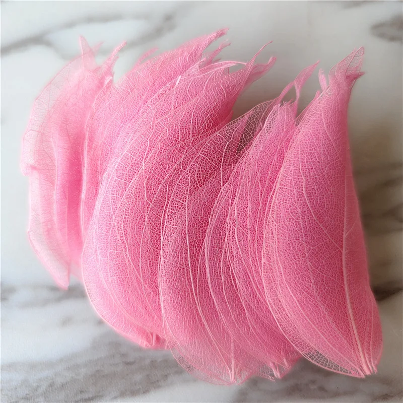 

1 Pack Colorful Leaves UV Resin Natural Leaves Stickers Dry Beauty Decal For DIY Epoxy Resin Filling Jewelry Decoration