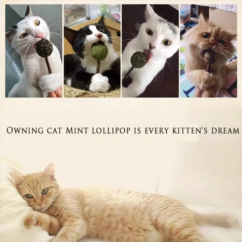 

1PC Pet Products Pet Cat Toys Natural Catnip Lollipop Shape Pet Molar Teeth Cat Toy Pet Christmas New Year Gift