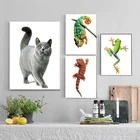 Алмазная вышивка крестиком на рисунке, вышивка животное геккон мозаика ручной работы камни в форме ромба круглый дрель настенный Декор подарок