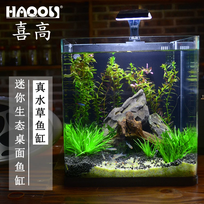 15% креативный Настольный ультратонкий стеклянный аквариум для рыб Betta Aquaponic