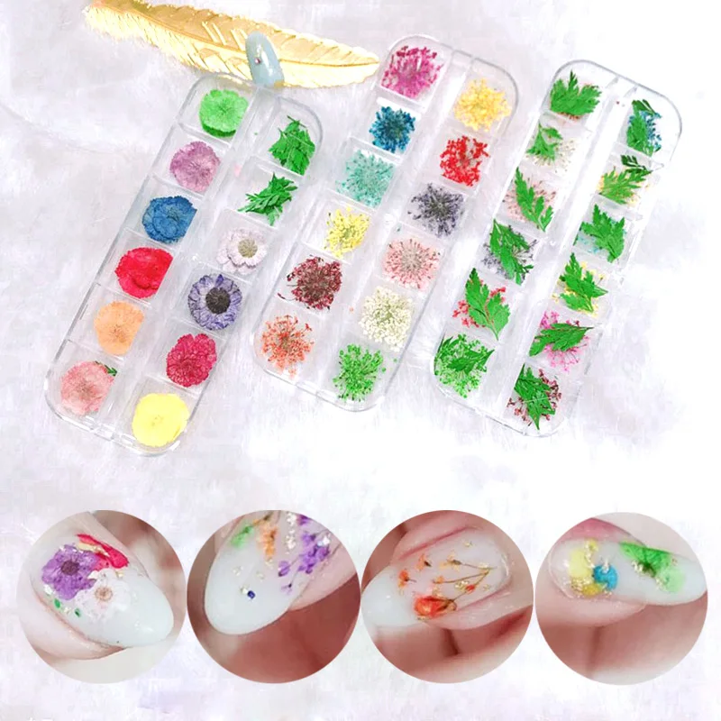 

24 шт. 12 шаблонов 3D разных наклеек в виде сухих цветов, искусство ногтей, декоративные Типсы, «сделай сам», инструменты для маникюра с коробкой