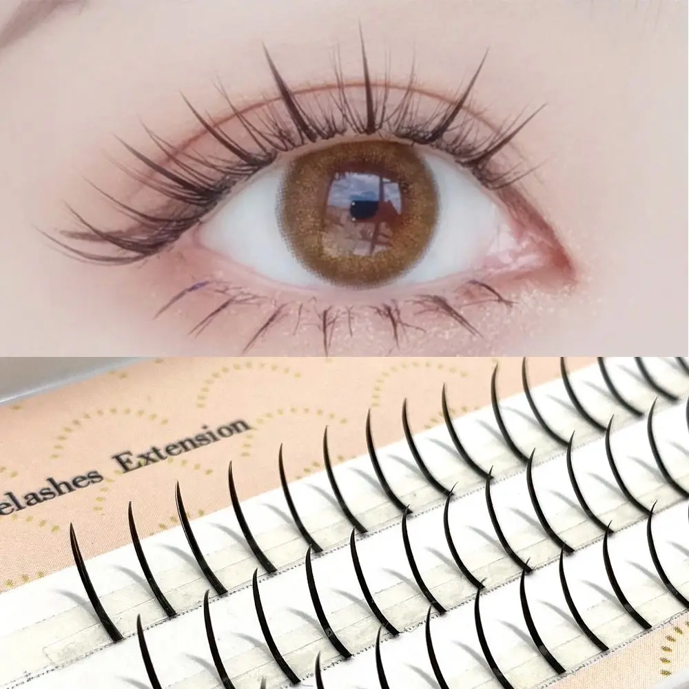 

Lasting Natural Premade Volume Self Grafting Eyelashes A Shape&Fish Tails Individual Eyelashes Mixed 2 Styles Eyelashes
