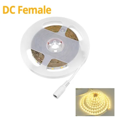 DC Female Warm White 12 В светодиодный светильник 4040 SMD ярче, чем 2835/5050 Светодиодная лампа в шкаф для кухни, спальни, мебели, ночника, украшения дома - Цвет: DC Female Warm White